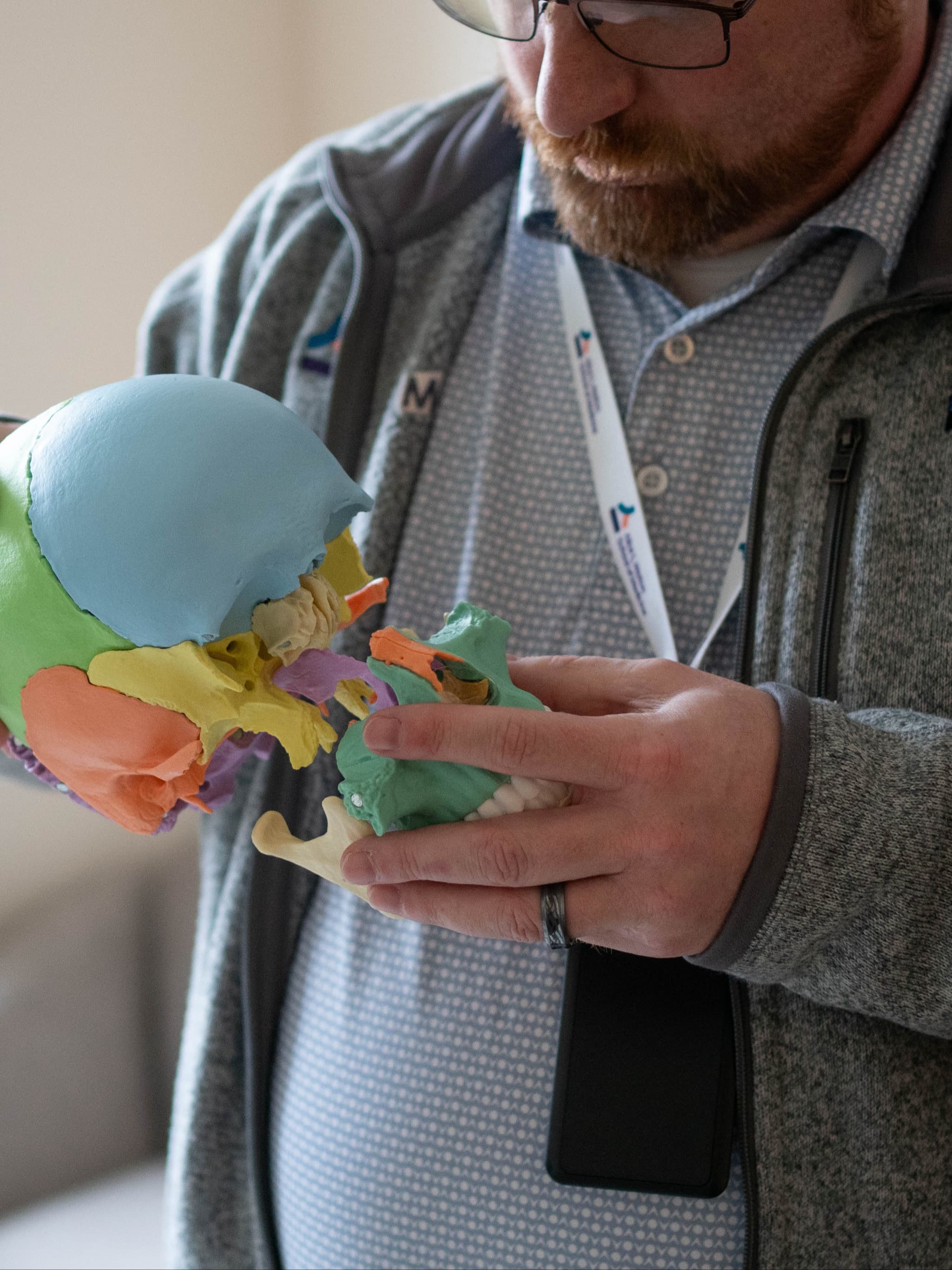 Person Holding Plastic Skull
